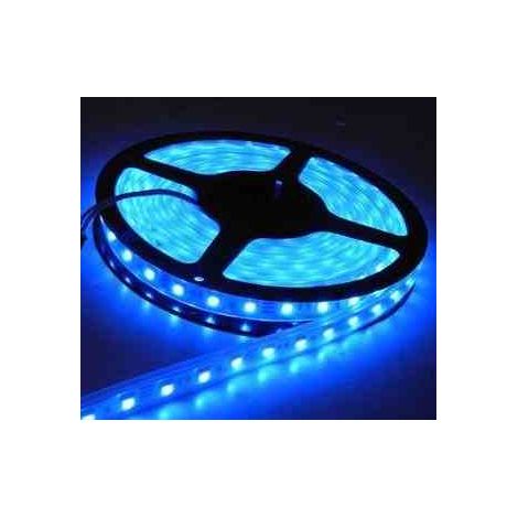 Ruban LED bleu 2,5m 12W 12V IP65 EKPL759 Eko-Light