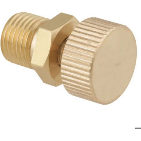 Vis purge air laiton pompe haute pression (1/5)