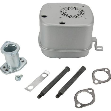Auspuff für Briggs und Stratton - 796000