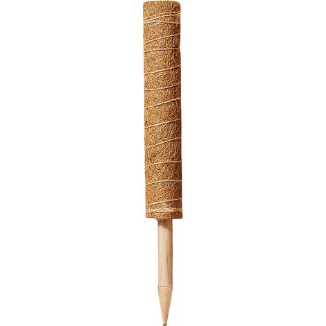 BDD 40cm 4 pièces Tuteur Plante Tuteur Coco pour Plante avec 4 Cordes de Chanvre pour Temps Plantation Nom de la Plante Tuteur Coco Support pour Plantes Grimpantes Extendable 130CM (1/5)