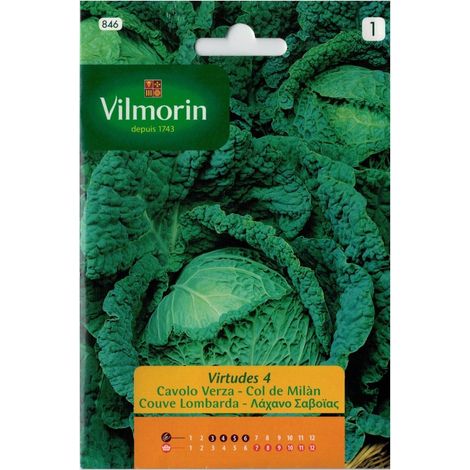 Colle Samen der Tugenden 4 Vilmorin 6g