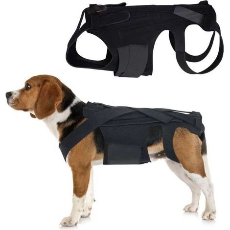 Harnais de soutien dorsal pour chien - Soutien spinal pour la récupération et la rééducation
