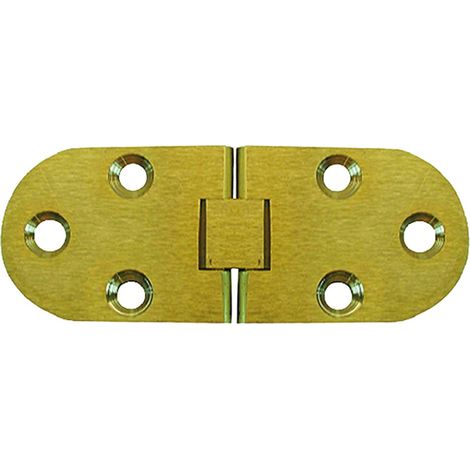 Cerniera a biscotto con fermo mm 30x80
