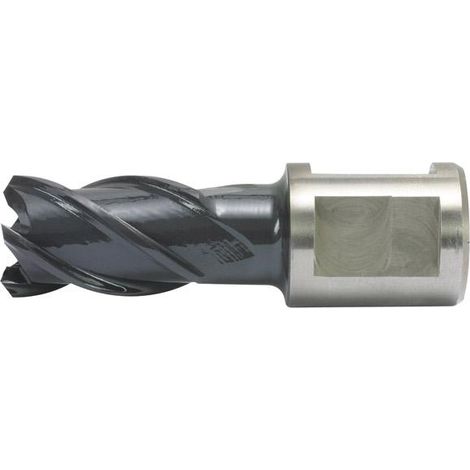 Kernbohrer HSS-Co RQX 26/30mm Alfra (1/5)
