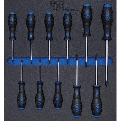 BGS Inserción para carro de taller 2/3: Destornilladores de perfil en T (para Torx) T6 - T40 11 piezas. - 4079