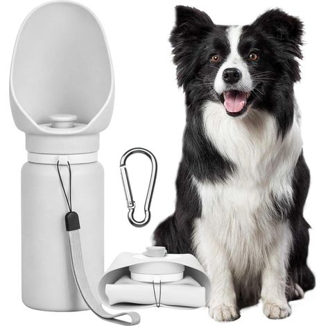 Gourde pour Chien Nomade, 550 ML, Pliable, avec Mousqueton, en Silicone, idéale pour Les promenades, la randonnée et Les Voyages avec Chiens et Chats (1/5)