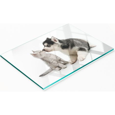 Tagliere da cucina in vetro temperato con decorazioni raffiguranti cane e gatto, 80x52 cm. (1/5)