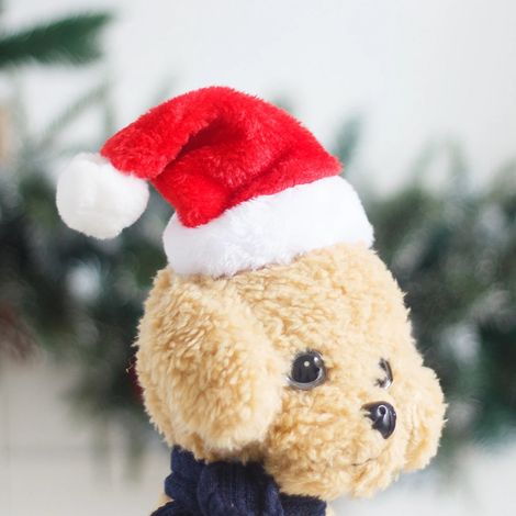 1 Chapeau de Noël STS pour animaux de compagnie, décorations de Noël, petit chapeau pour chien et chat, chapeau en peluche de haute qualité, casquette pour animaux de compagnie (Style 3) (1/5)