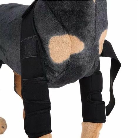 Fournitures pour animaux Genouillères pour chiens Jambes de chien Jambes de chien Protecteur pour animaux de compagnie Chirurgie du chien Housse de protection pour blessures (1/5)