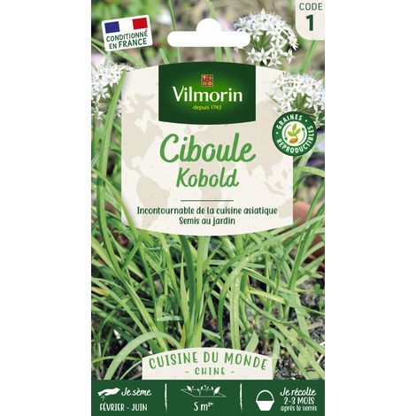 Ciboule de Chine - Cuisine du Monde Vilmorin