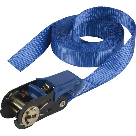 Master Lock 4365EURDAT cinghia a cricchetto blu 5 metri (1/4)
