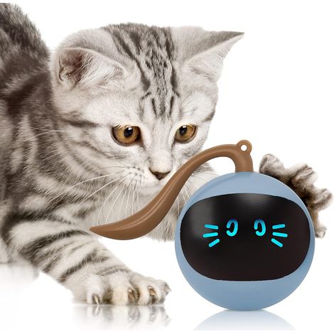Jouet pour chat : balle interactive à 360° qui roule toute seule, rechargeable par USB, idéale pour la chasse et le sport, pour chatons et chiots d'intérieur.