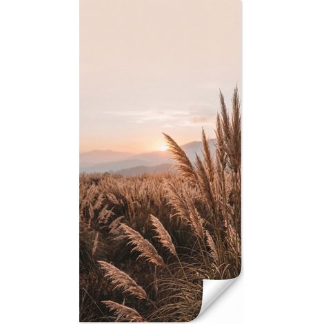 Papier Peint Herbe - Champ - Soleil - Nature 140x260 cm (1/5)