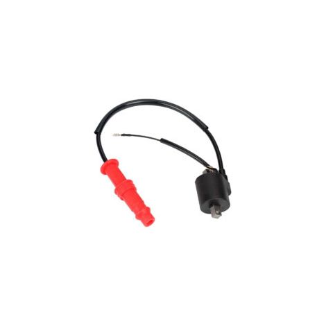 Bobine d'allumage pour Polaris Sportsman 3085228 3085227