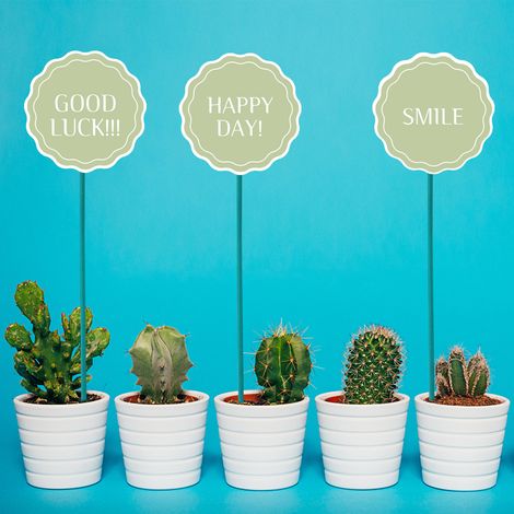 Support pour plantes (1/5)