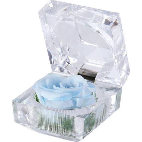 1 rose fraîche préservée sous cloche en verre avec ruban décoratif - Cadeau idéal pour la Saint-Valentin, un anniversaire ou toute autre occasion (bleu clair)-7.75.5cm (1/3)