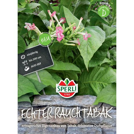 Sperli – Tabac à fumer véritable (Nicotiana tabacum) – Graines de fleurs, fleurs roses, jusqu'à 200 cm (1/2)