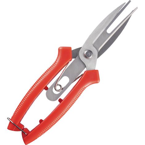 Ciseaux de cueillette de fruits à double tranchant sécateur de jardin cisailles de culture de fleurs d'agrumes cisailles solides 1 pc (1/5)