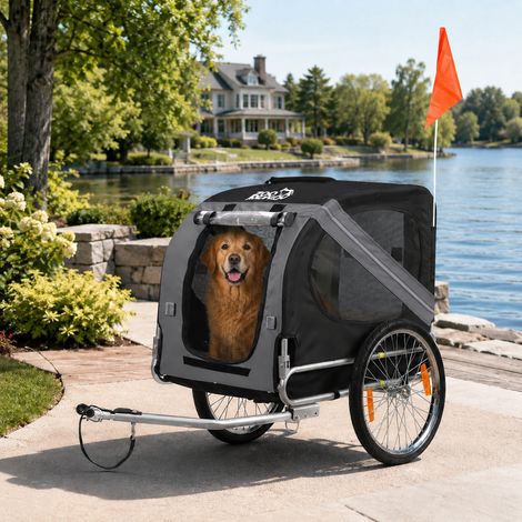 zoomundo Hundeanhänger Fahrradanhänger für Hunde - in Dunkelgrau/Schwarz - Silver Frame (1/5)