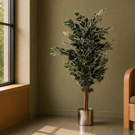 130cm Variegated White/Green Bushy Ficus Tree Silver Metal Planter - Premium Quality (1/5)