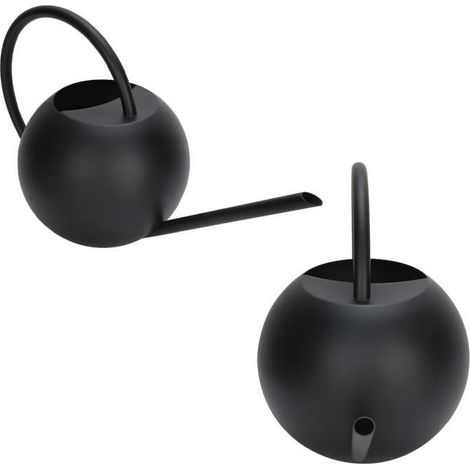 1 arrosoir en acier inoxydable, bec long et poignée ergonomique, 1 L, pour jardinage intérieur et extérieur (1/4)