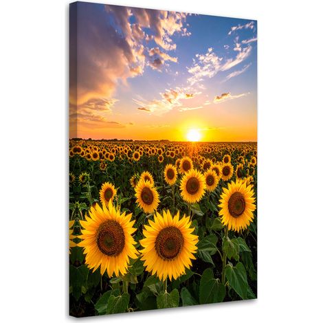Cuadro sobre Lienzo, Campo de girasoles, atardecer, 30x45 (1/5)