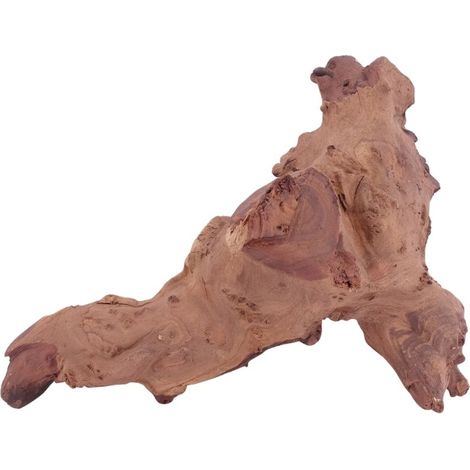 XL Mopani Wurzel Nr.4670 Holz Deko Aquascaping