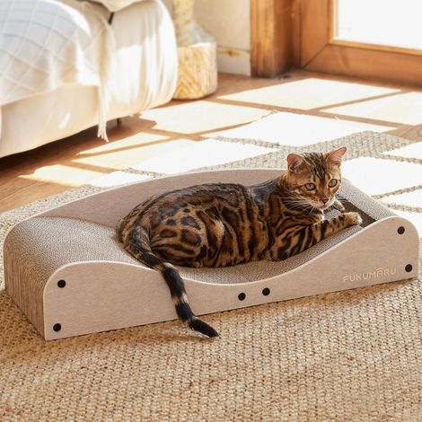 Grattoir pour Chat, 73,9 cm Extra Long Lit Canapé en Carton d'Intérieur, Récréation Multifonctionnelle en Feutre Naturel, Tapis de Griffure Horizontal avec Balle Jouet, Camel (1/5)