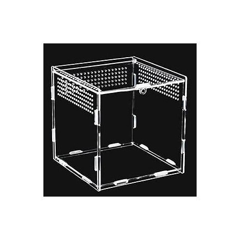 Acryl-Terrarium 15x15x15 cm für Vogelspinnen und Insekten, transparent