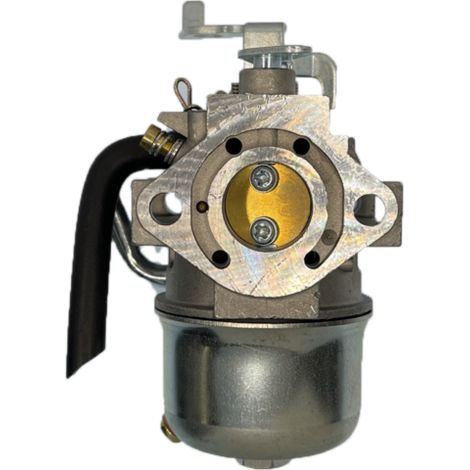 CARBURATORE KAWASAKI FG200 ROBIN EH17 ADATTABILE (1/4)