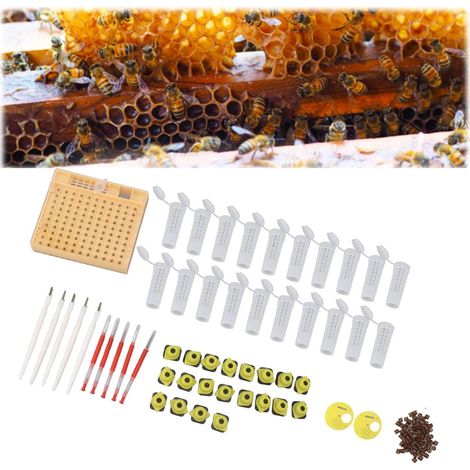 Kit d'élevage de Reines Abeilles, système de Reproduction avec 110 cellules en Plastique, Outils de greffage, Cadre de Ruche, pour apiculteurs (1/5)