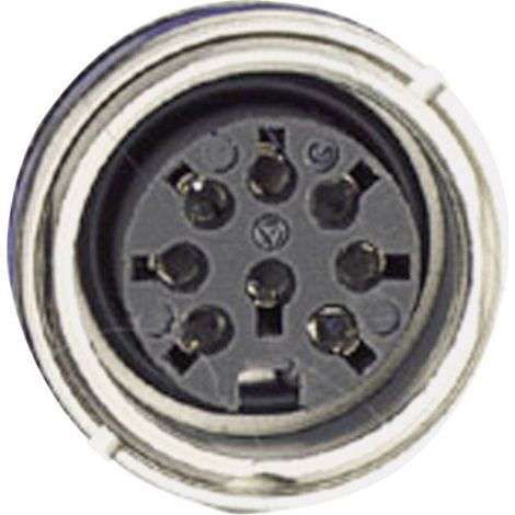 Amphenol C091 31N003 100 2 Connettore circolare Presa Tot poli: 3 Serie (connettore circolare): C091 1 pz. (1/3)