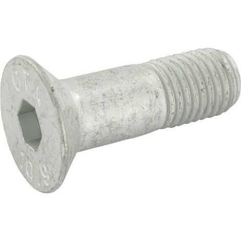 Vite a testa svasata con fessura M16x50 LEMKEN 3016144