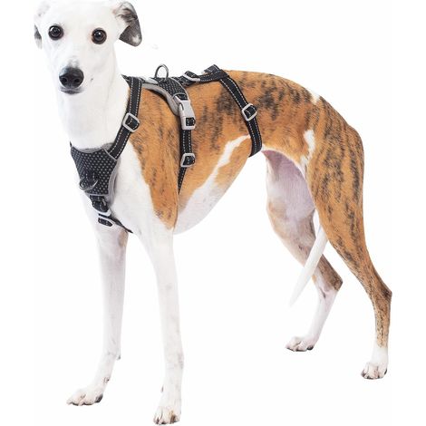 Harnais Anti-Fugue pour Chien, Harnais Réfléchissant Anti-Traction pour Petits, Moyens et Grands Chiens, Durable, Réglable et Respirant pour l’Entraînement et la Promenade (Noir,L) (1/5)