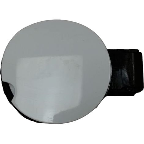 Volet De Trappe Carburant RENAULT Megane III 2008- [PRODUIT D'OCCASION]♻️788300005r (1/3)