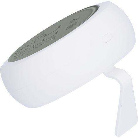 Temperatur- und Feuchtigkeitssensor, App-Fernsteuerung, intelligente Sonde, LCD-Display, Temperatur- und Feuchtigkeitssonden-Controller (1/5)