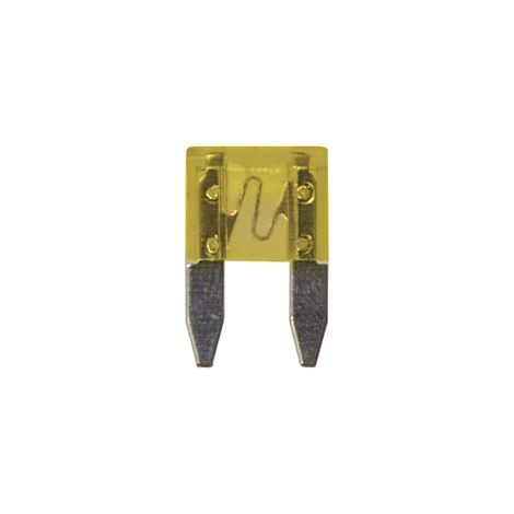 RESTAGRAF - Fusibles - accessoires fusibles plats à languettes - 306845 - Ce produit de marque Restagraf est neuf.