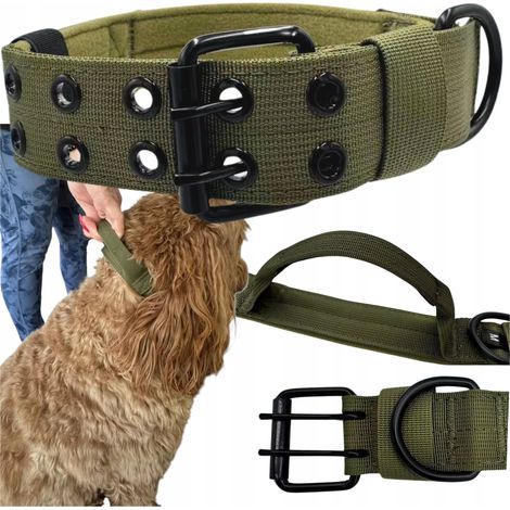 Hundehalsband mit Riemen, breit, robust, verstellbar, XL 54-64