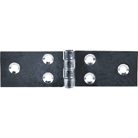 CERNIERA ALI LUNGHE ART.122 mm 20 x 50 - pz. 4