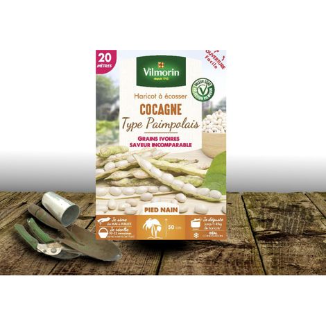 Graines de Haricot nain à écosser Cocagne