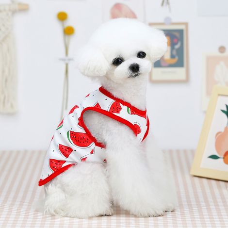 Veste Pour Chien - Coton Respirant - Design Sans Manches Avec Ouverture Dorsale - Motifs Fruits - Tailles XS À XXL - 1 Pièce (1/5)