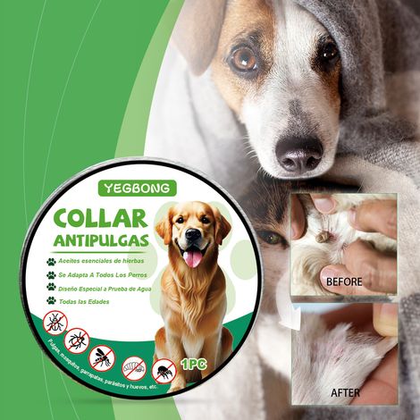 Collier anti-puces et tiques pour animaux de compagnie - 1 pièce (1/5)