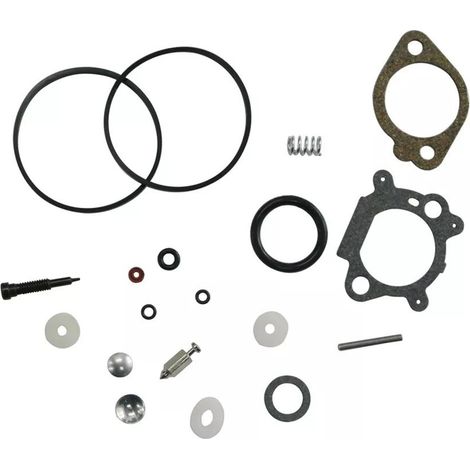 Kit de réparation de carburateur Briggs & Stratton 492495 493762 498260 - Puissant (1/3)