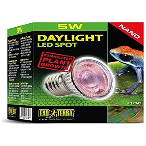 Exo Terra Daylight - Faretto LED Nano, per uso in Exo Terra Reptile Dome Nano, 5 W, attacco E27, argento, 1 pezzo (1 pezzo)