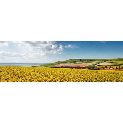 Tableau sur toile champs de colza de Calais 30x97 cm - Impression sur Toile Murale Décorative - Image imprimée en HD sur Toile - Toile sur Châssis en Bois FSC - Fabriqué en France (1/4)