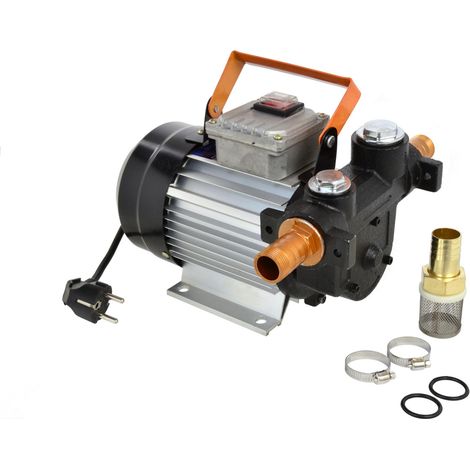Pompa dell'olio motore 230V/50HZ (2) (1/5)