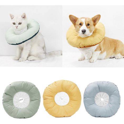 Collier conique pour chien après une opération pour favoriser la cicatrisation - Facile à manger et à boire - Myrtille (1/4)