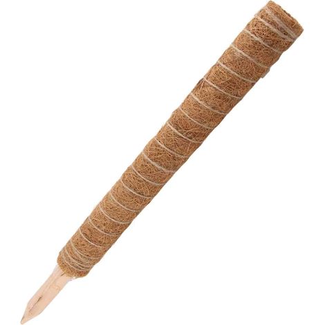 Tuteur en mousse, support pour plantes grimpantes, tige en mousse en forme de dos de tortue, bâtonnet de cocotier (1/5)