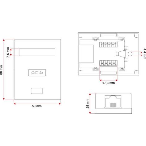 Alan - A-lan - conector de la ftp cat 5e 1 x rj45 mjpeg (gn005)