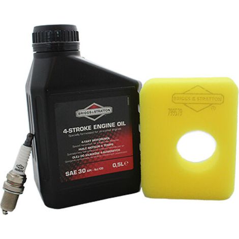 Kit Entretien Moteur - Filtre À Air Rectangulaire - Bougie - Huile 0.6 L - Pour Moteurs Briggs Et Stratton Série E450 E500 - 1 Pièce (1/2)